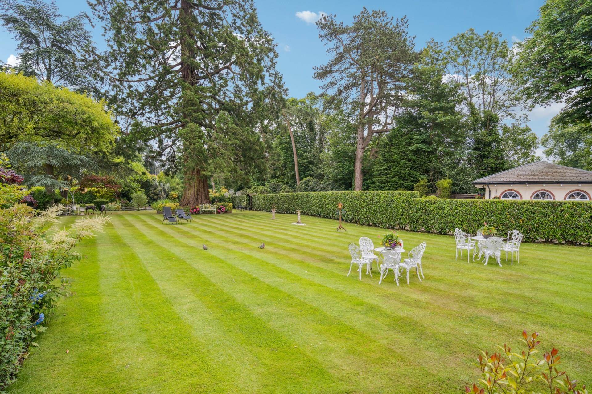 Additional Property Image 7 bedroom Semi Detached for sale in Hemel Hempstead 45
