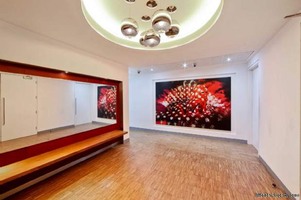 Additional Property Image 3 bedroom Penthouse to rent in London 13