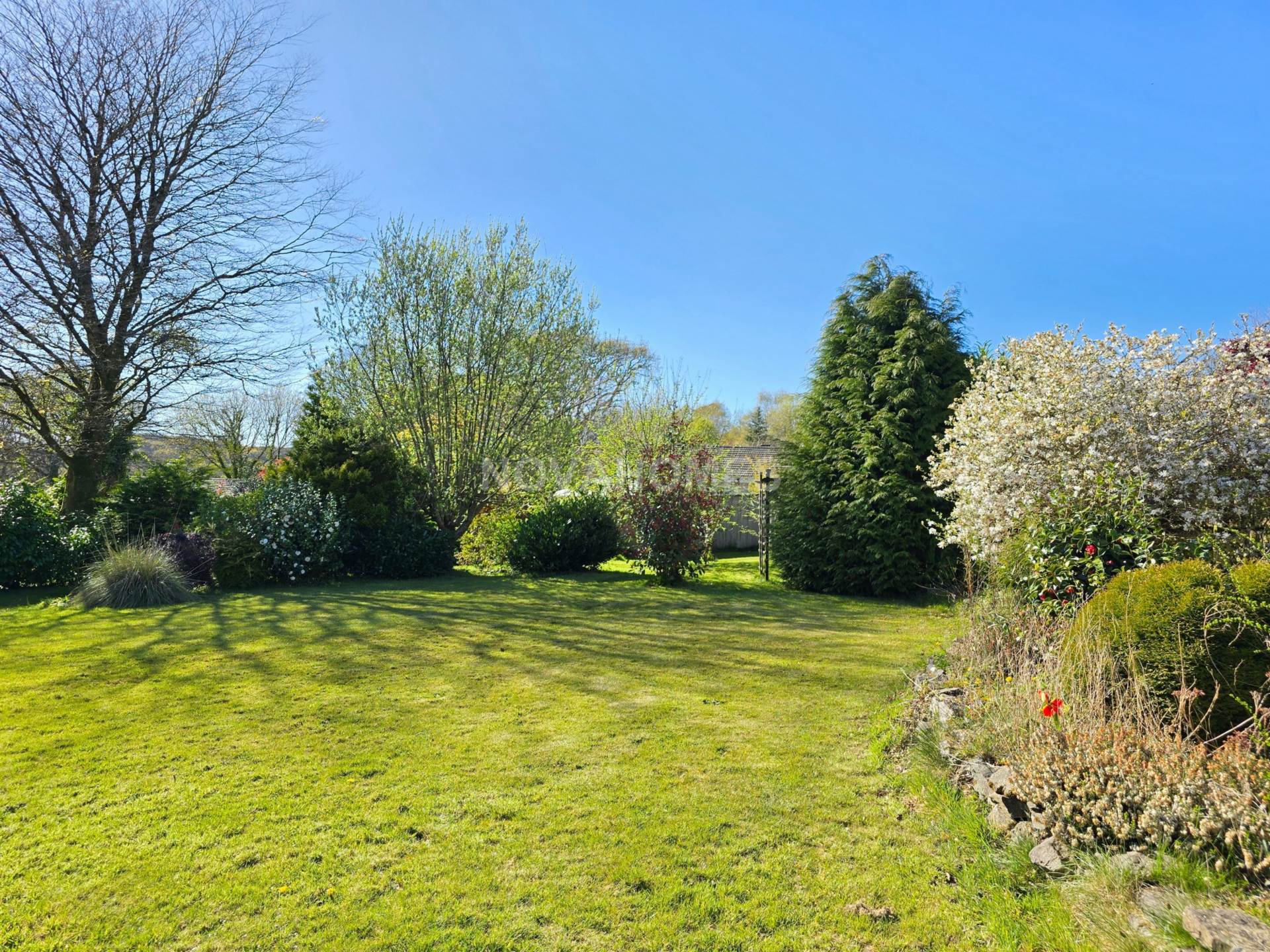 Additional Property Image 3 bedroom Detached Bungalow to rent in Tavistock 5