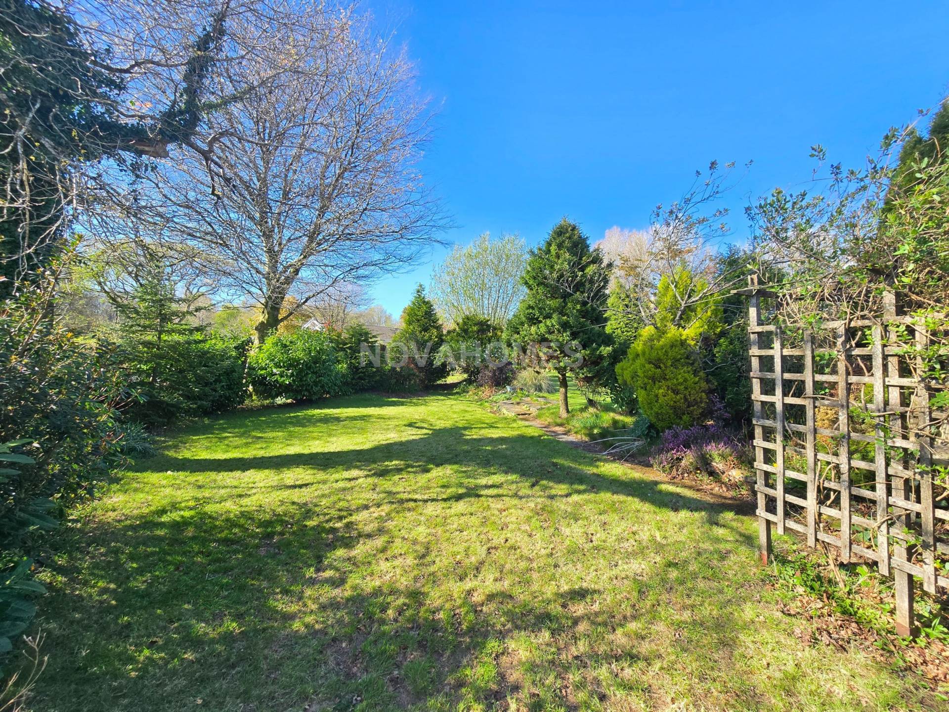 Additional Property Image 3 bedroom Detached Bungalow to rent in Tavistock 6