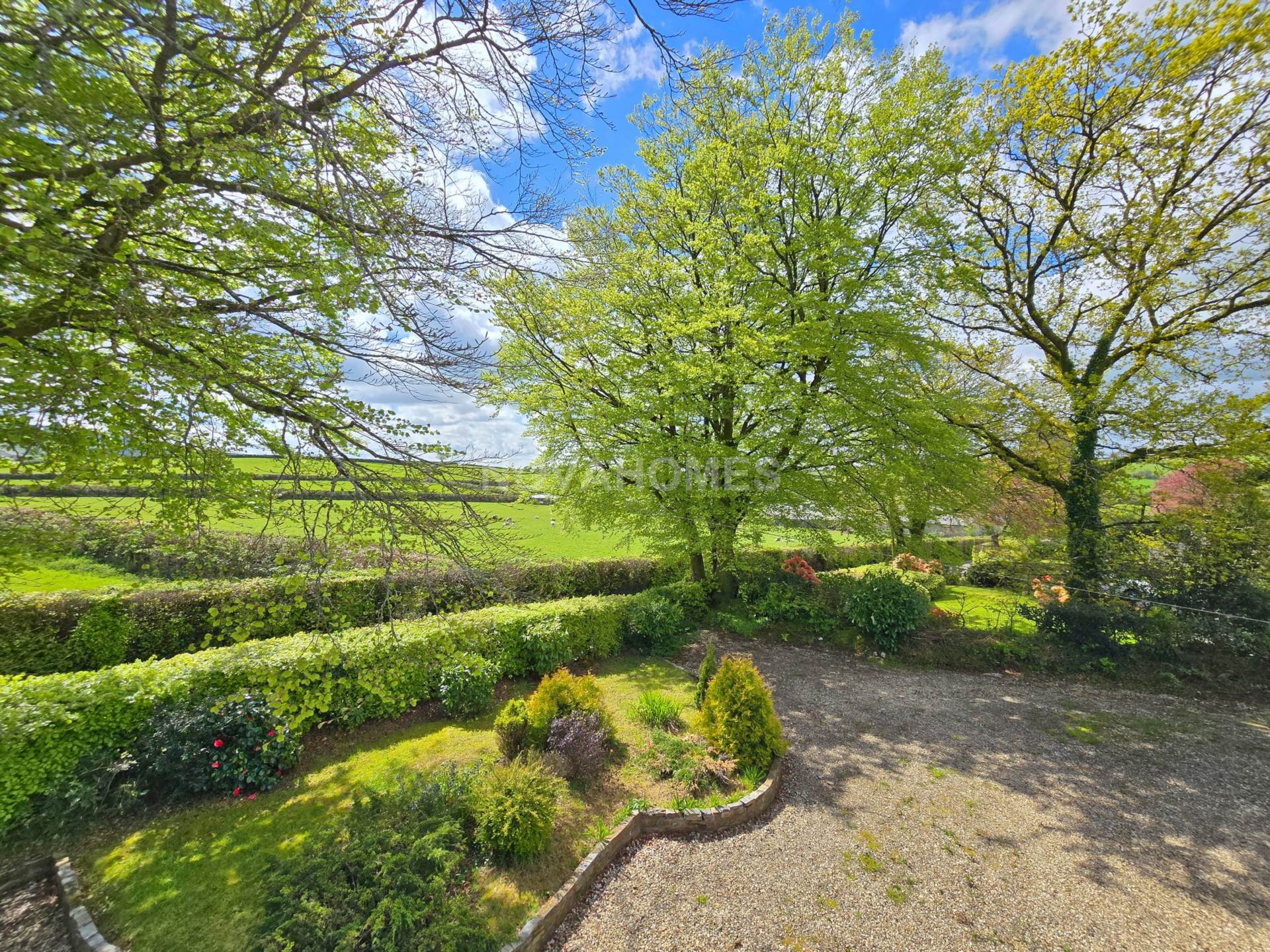 Additional Property Image 3 bedroom Detached Bungalow to rent in Tavistock 11