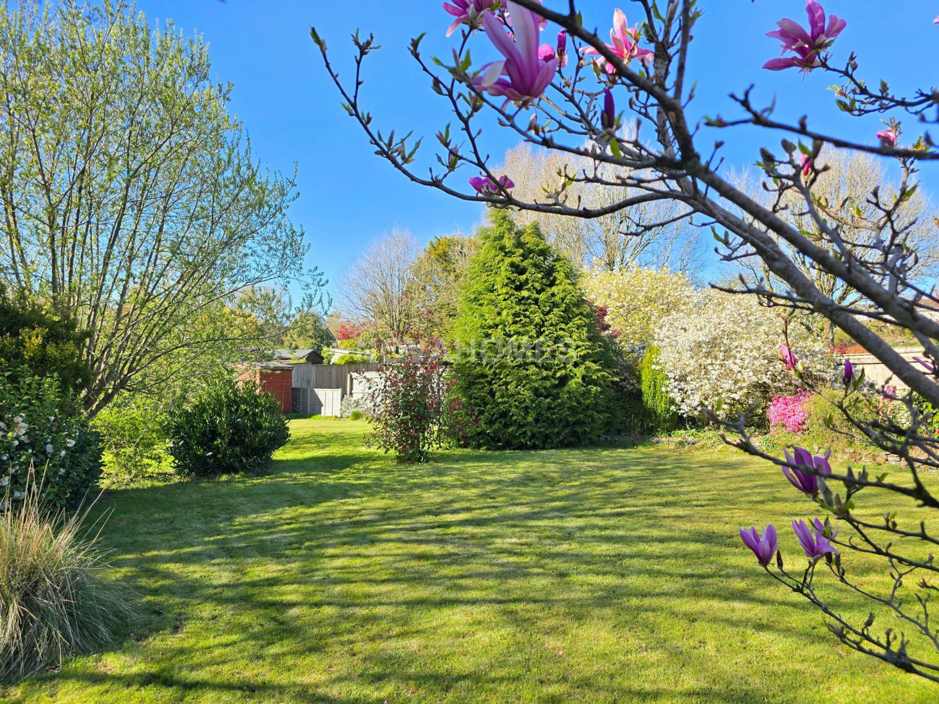 Additional Property Image 3 bedroom Detached Bungalow to rent in Tavistock 15