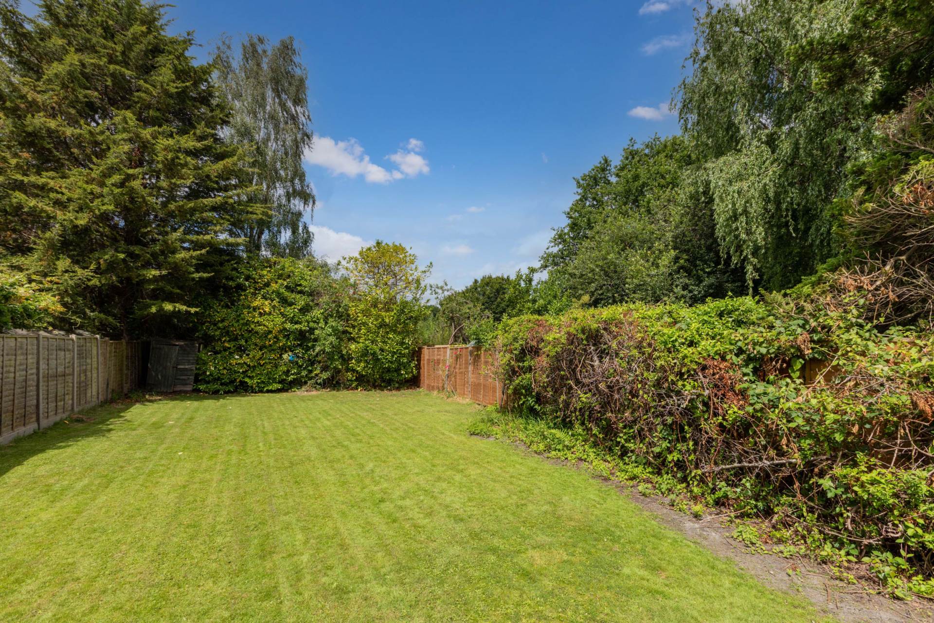Additional Property Image 4 bedroom Semi Detached for sale in Ascot 19