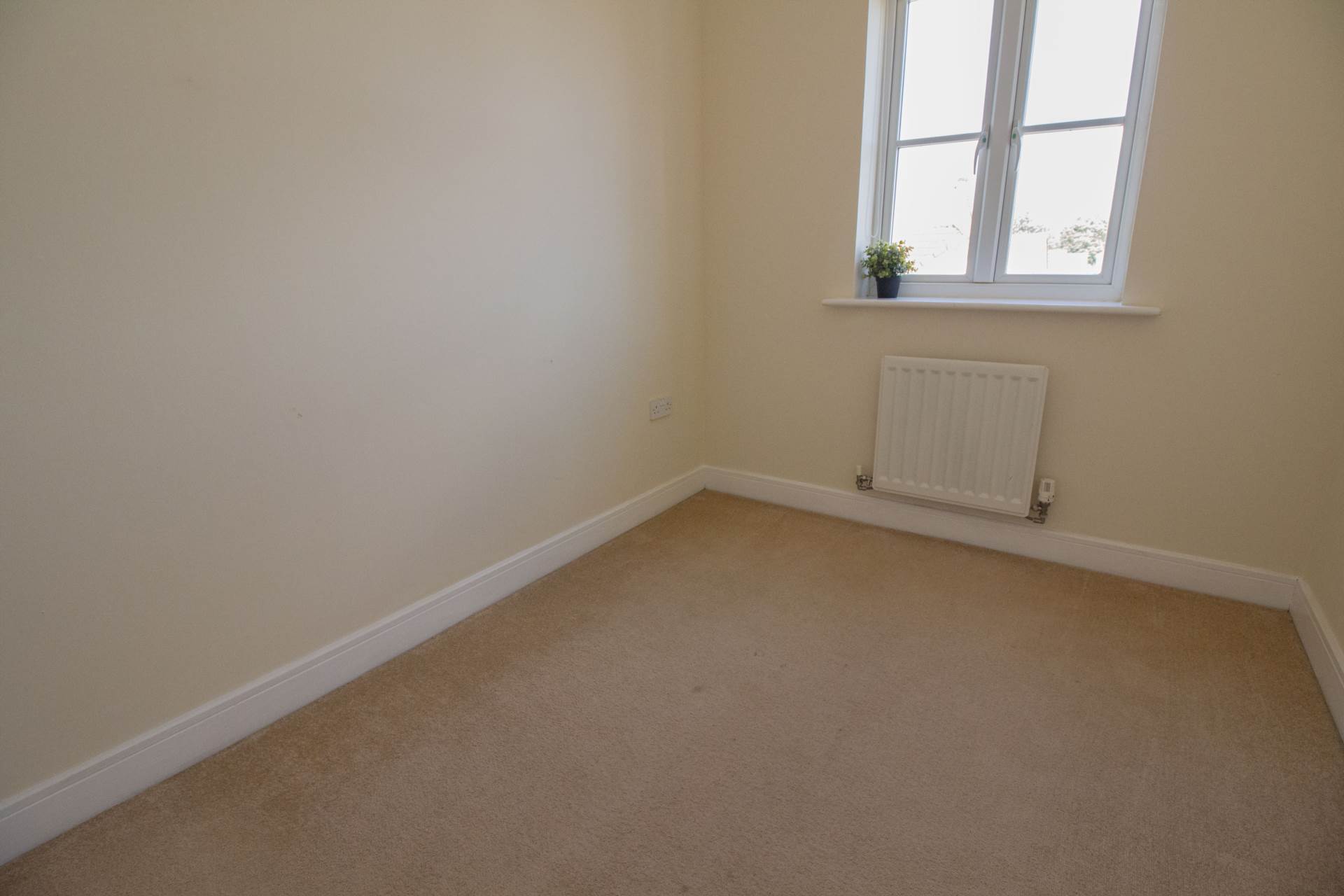Additional Property Image 4 bedroom Semi Detached to rent in Frome 11