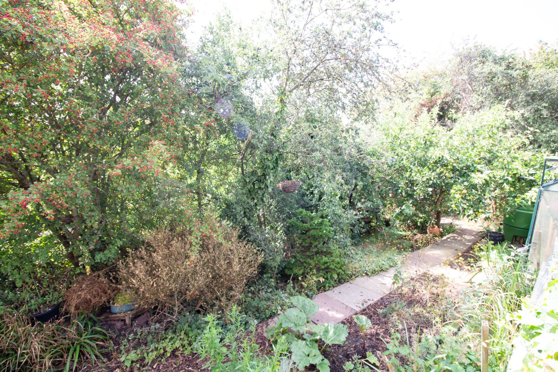 Additional Property Image 4 bedroom End of Terrace for sale in Frome 9