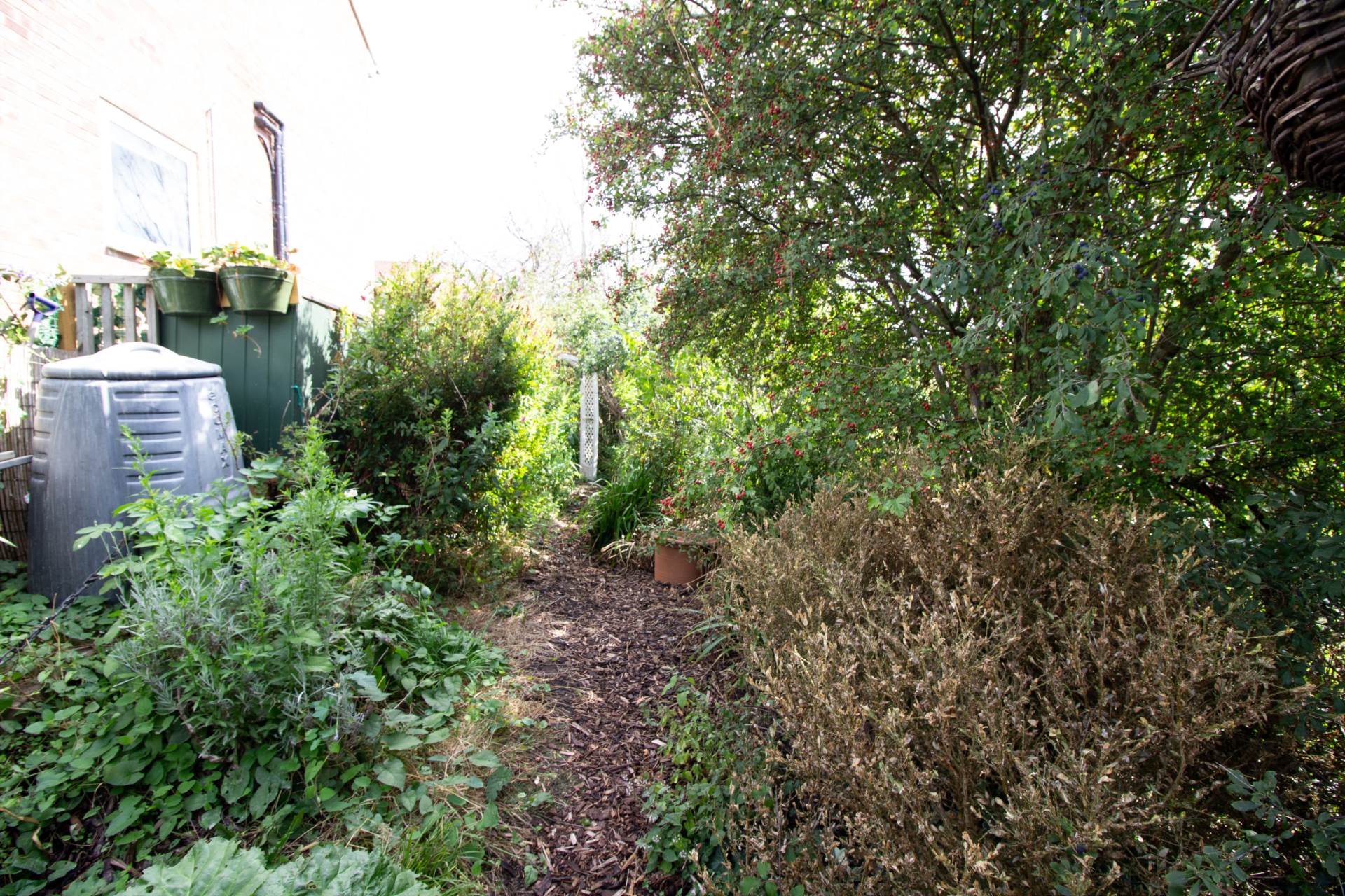 Additional Property Image 4 bedroom End of Terrace for sale in Frome 10