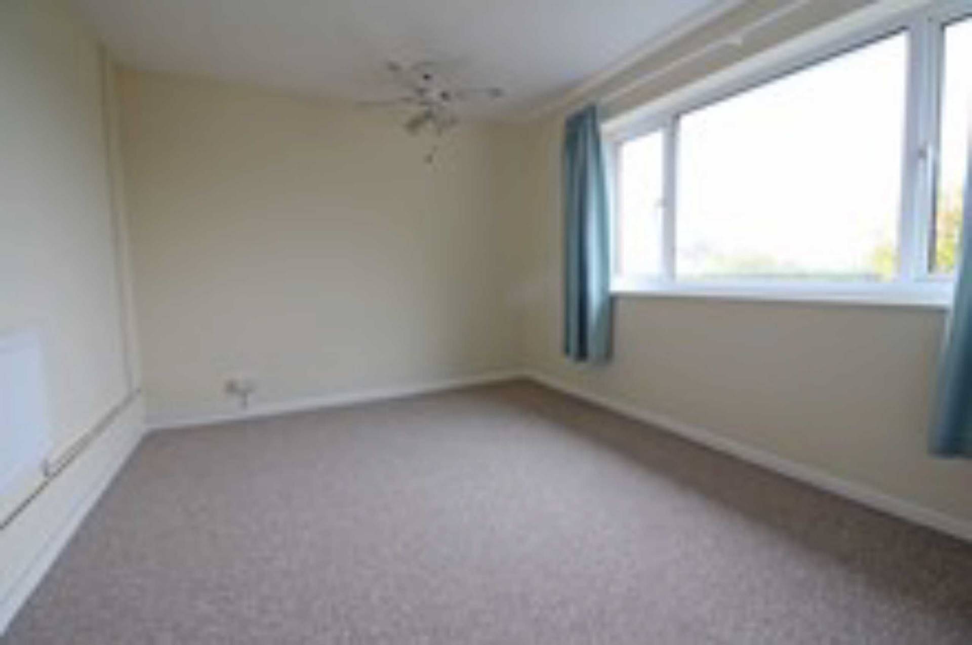 Additional Property Image 3 bedroom Bungalow to rent in Frome 6