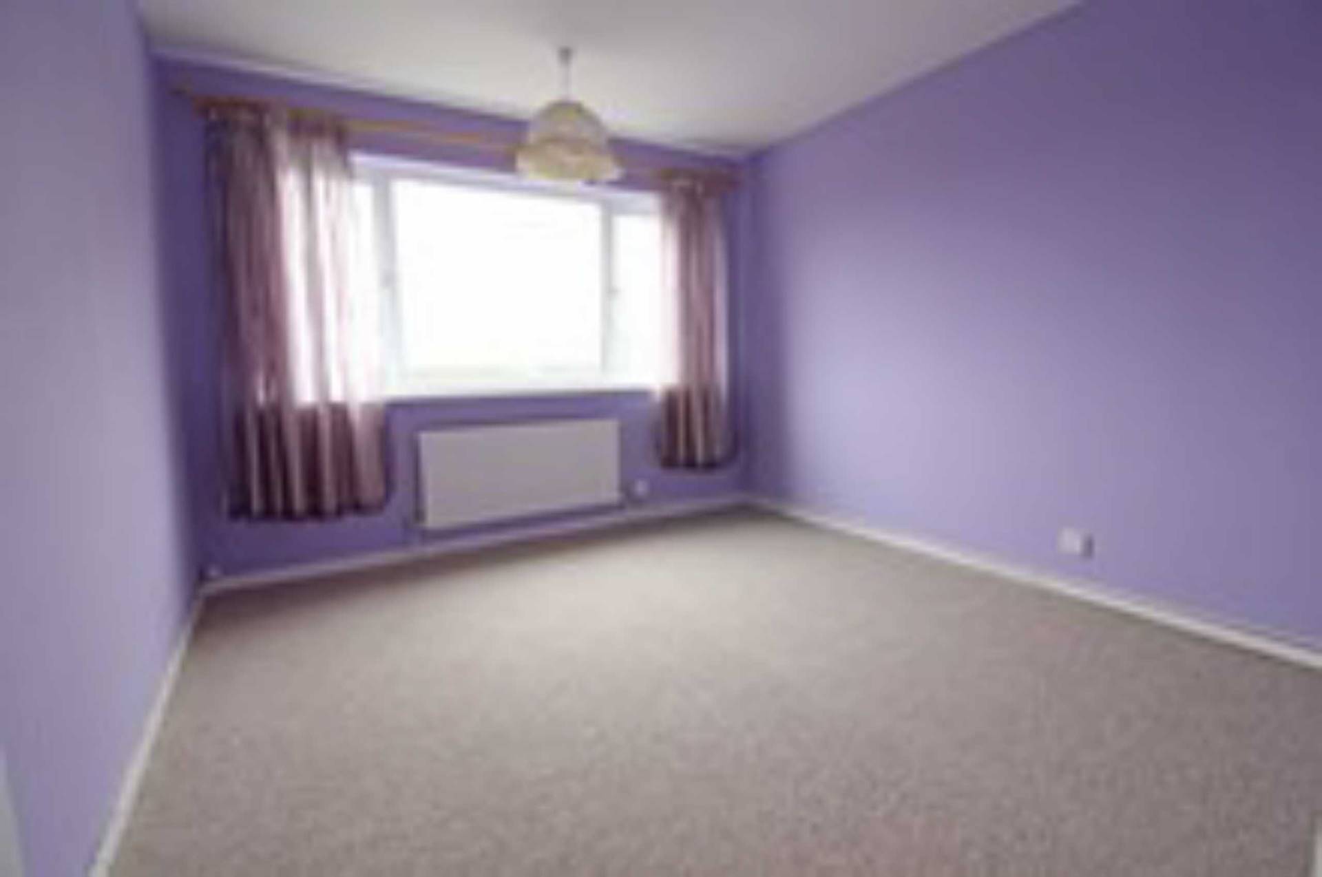 Additional Property Image 3 bedroom Bungalow to rent in Frome 7