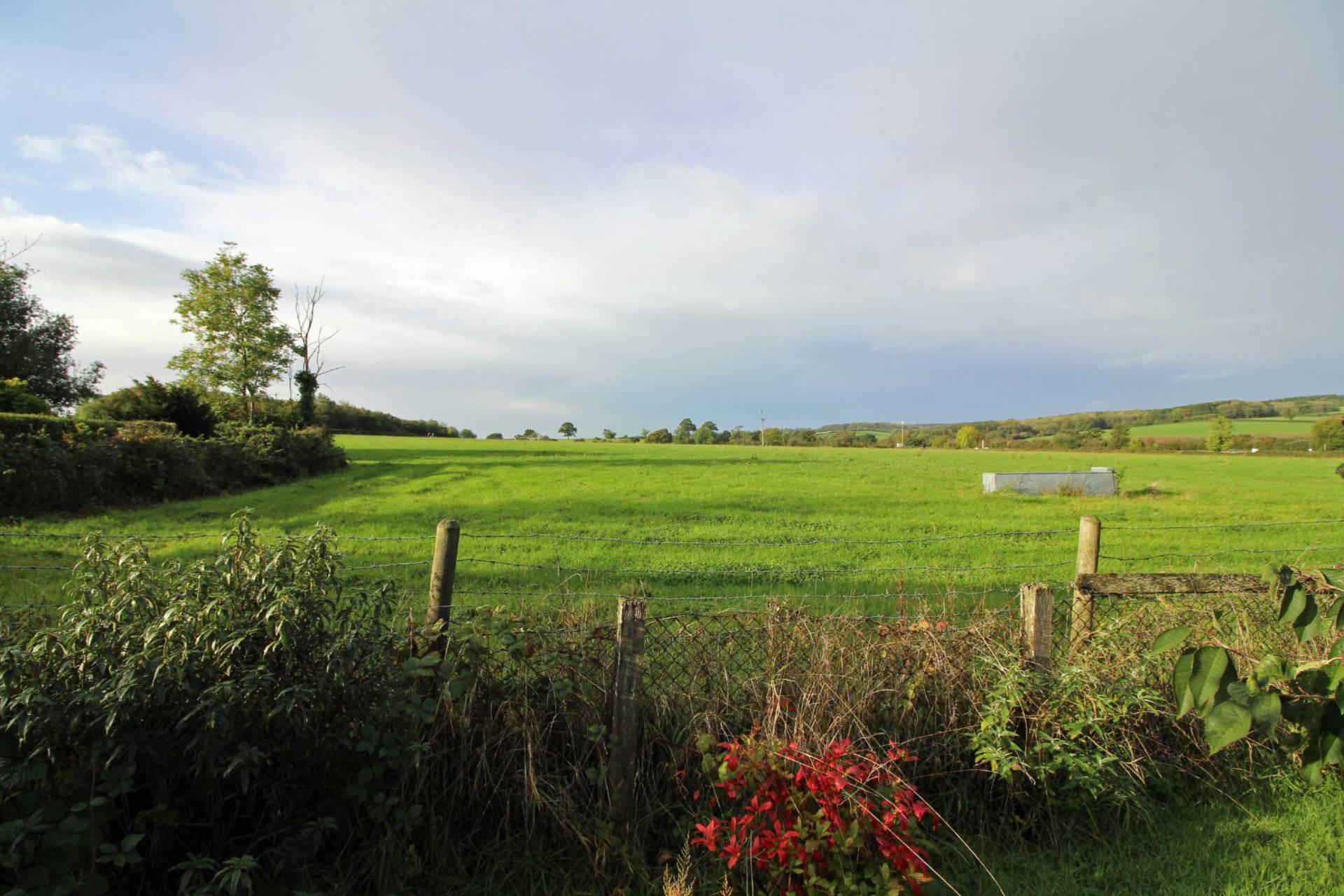 Additional Property Image 3 bedroom Bungalow to rent in Frome 10