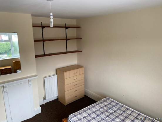 Additional Property Image 7 bedroom Semi Detached to rent in Southampton 9