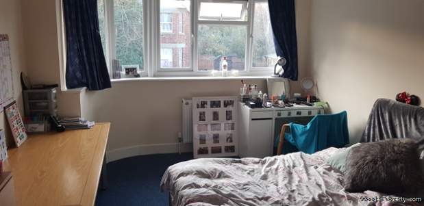 Additional Property Image 6 bedroom Detached to rent in Southampton 3