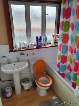 Additional Property Image 4 bedroom Semi Detached to rent in Southampton 11