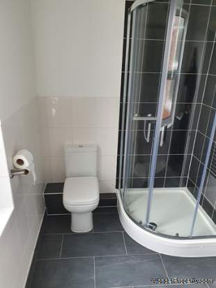 Additional Property Image 5 bedroom Detached to rent in Southampton 5