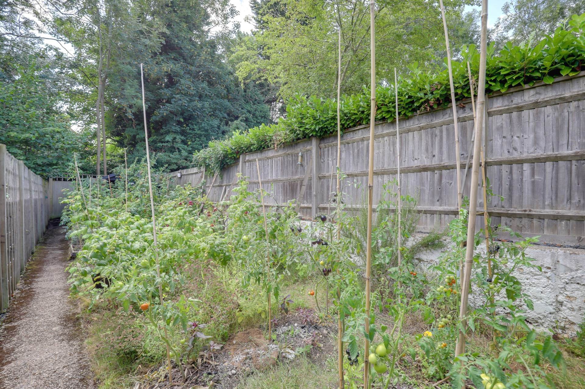 Additional Property Image 3 bedroom End of Terrace for sale in Reading 21
