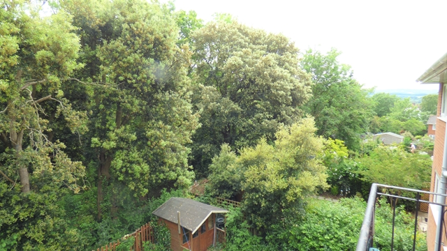Additional Property Image 2 bedroom Flat to rent in Topsham 10
