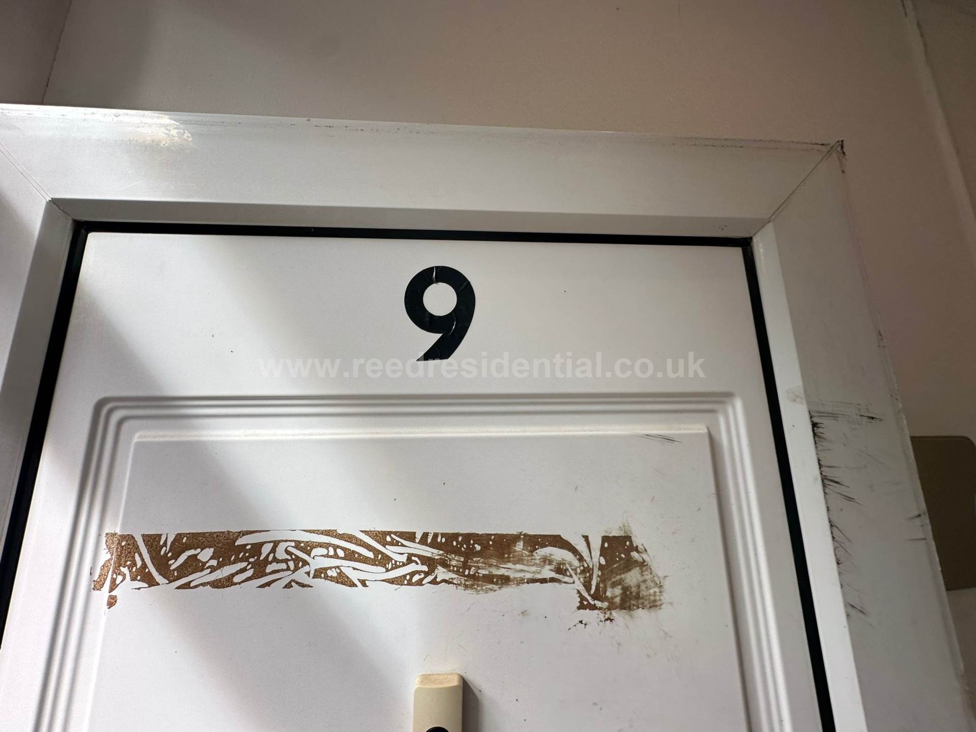 Additional Property Image 6 bedroom House to rent in Nottingham 3