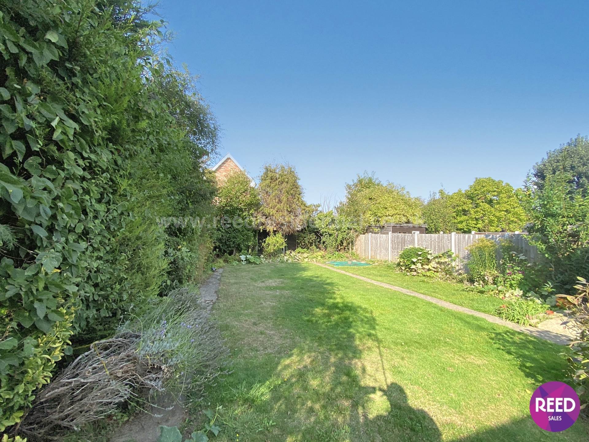 Additional Property Image 3 bedroom Semi Detached Bungalow to rent in Westcliff On Sea 11