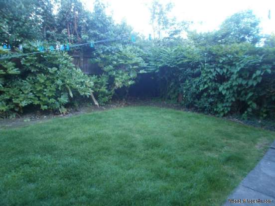 Additional Property Image 0 bedroom Studio to rent in London 6