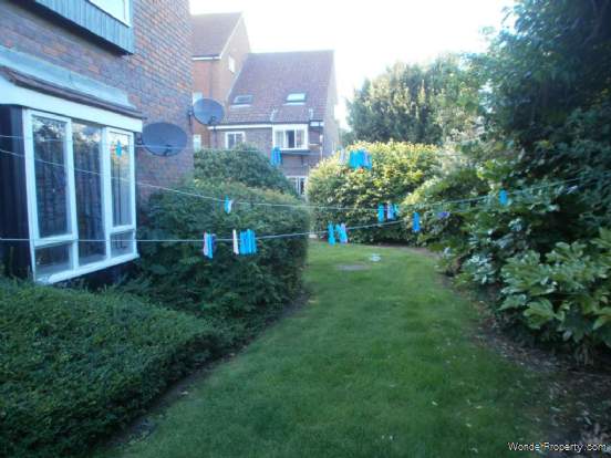 Additional Property Image 0 bedroom Studio to rent in London 7
