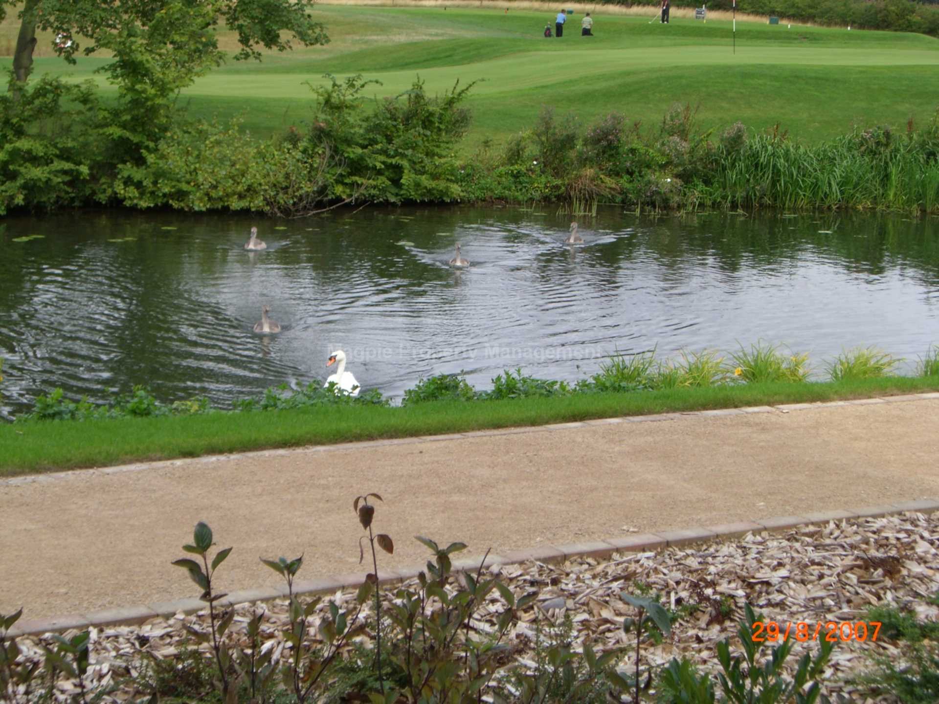 Additional Property Image 2 bedroom Apartment to rent in St Neots 11