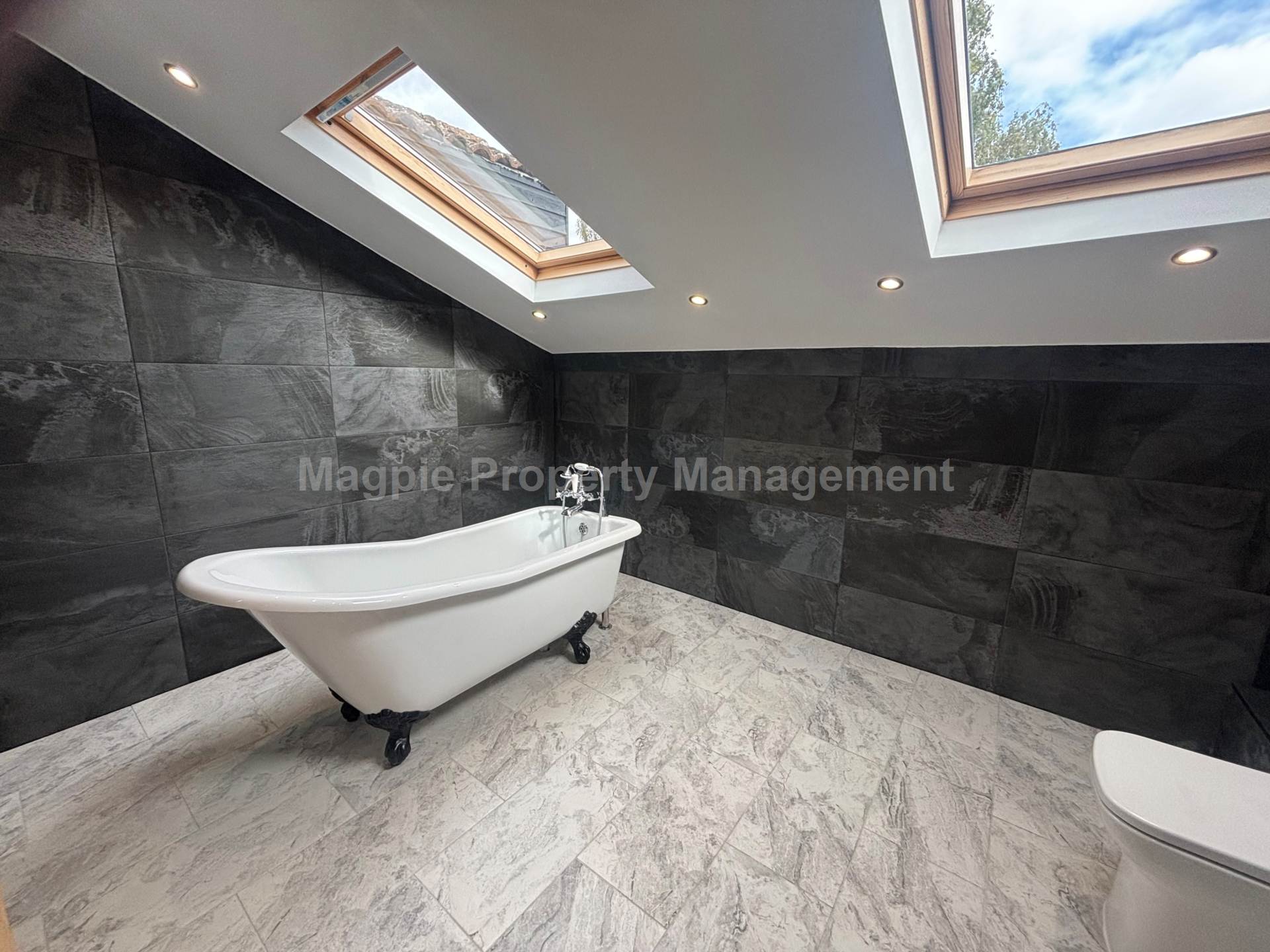 Additional Property Image 6 bedroom Semi Detached to rent in Cambridge 22
