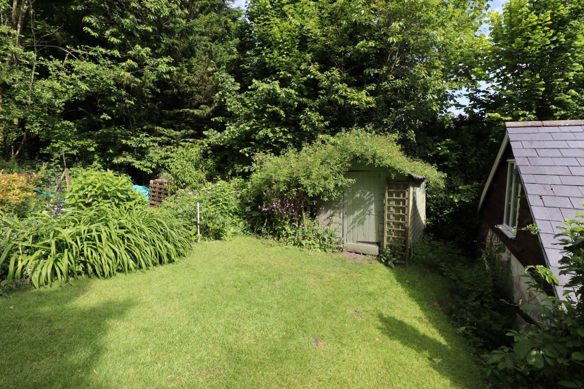 Additional Property Image 4 bedroom Detached for sale in Marlborough 18