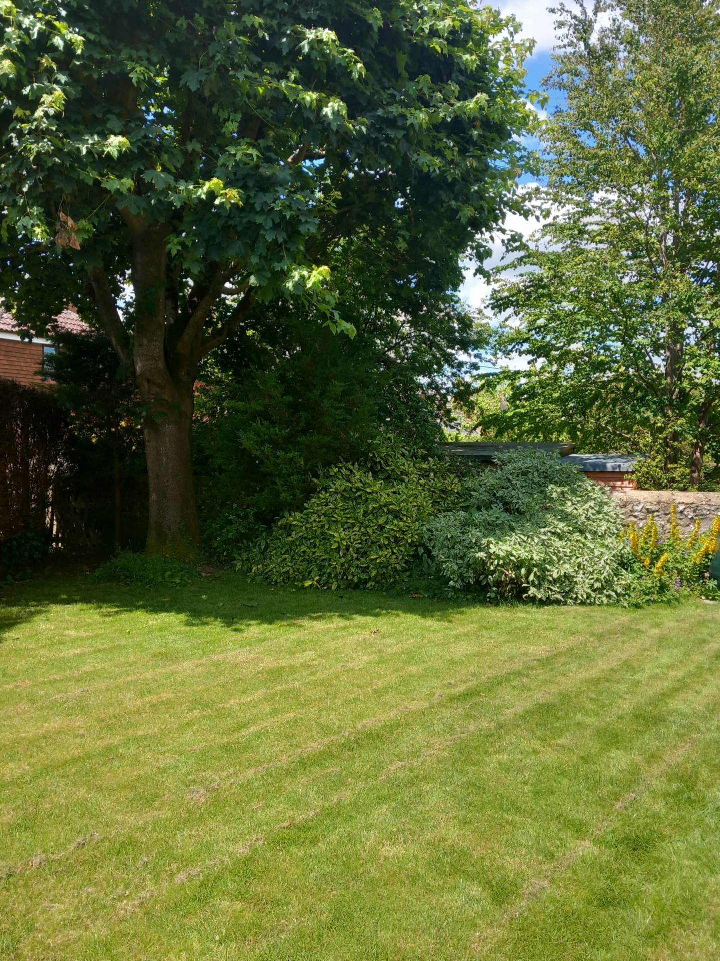 Additional Property Image 4 bedroom End of Terrace for sale in Marlborough 11