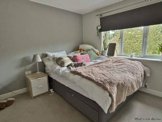 Additional Property Image 6 bedroom Detached for sale in Marlborough 12