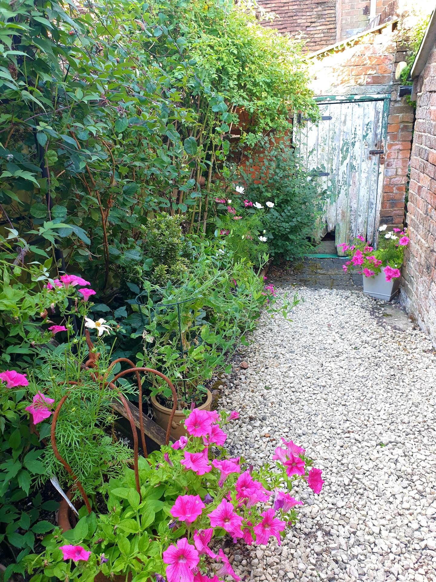 Additional Property Image 2 bedroom Terraced for sale in Marlborough 13