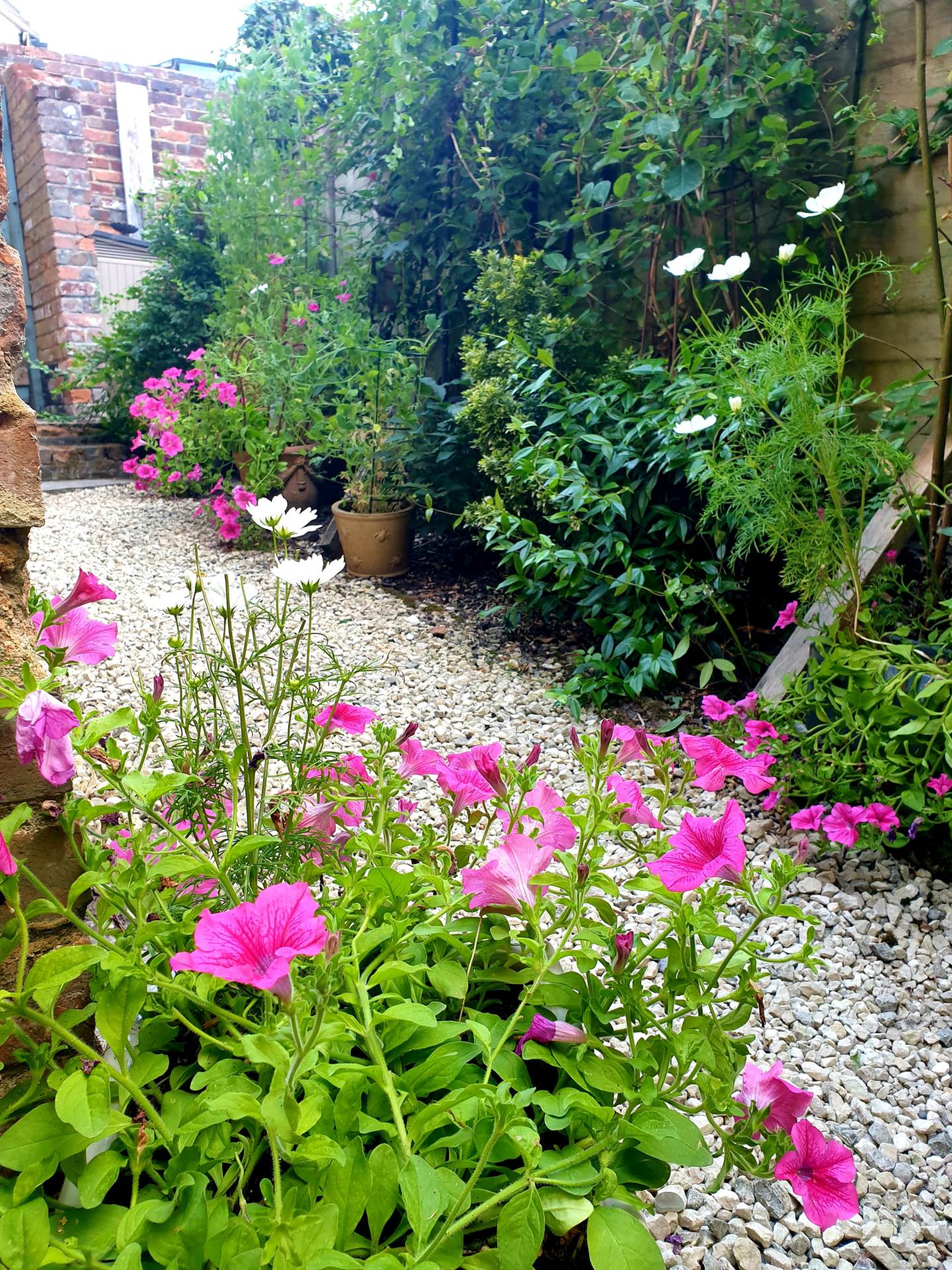 Additional Property Image 2 bedroom Terraced for sale in Marlborough 14