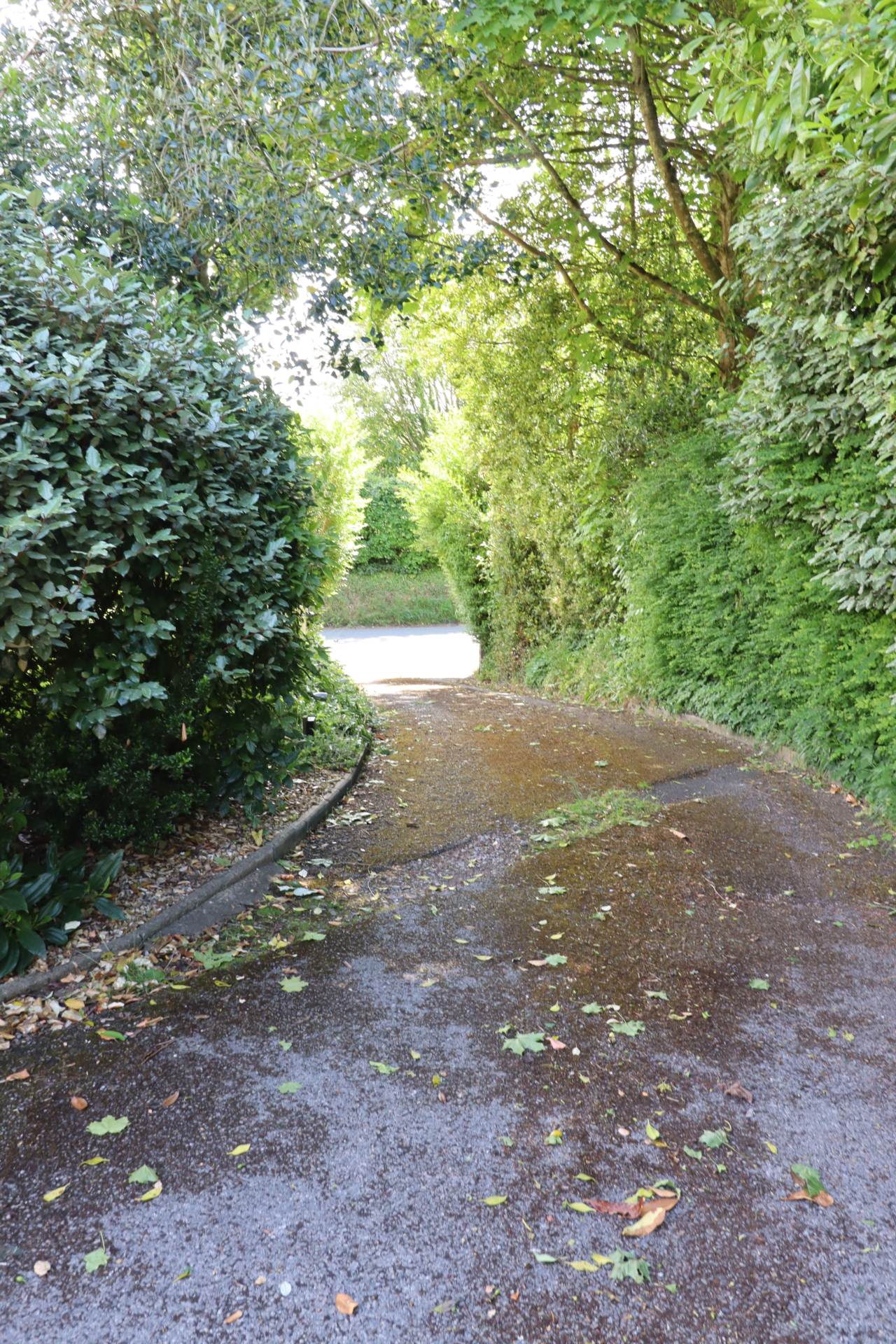 Additional Property Image 4 bedroom Detached for sale in Marlborough 17