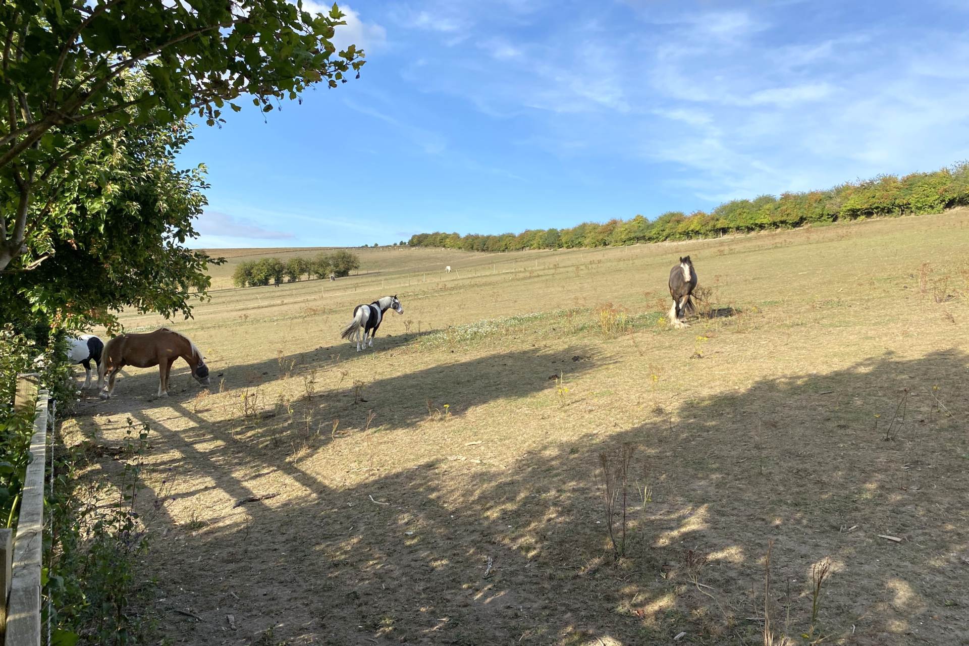 Additional Property Image 3 bedroom Semi Detached for sale in Marlborough 2