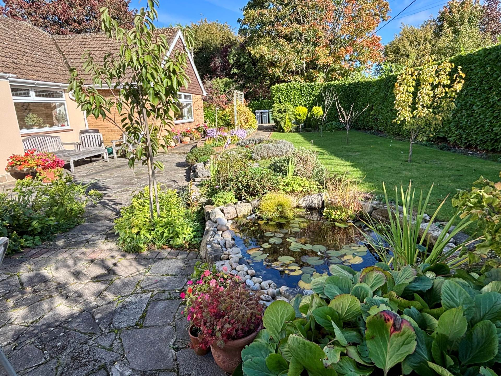 Additional Property Image 4 bedroom Detached Bungalow for sale in Marlborough 12