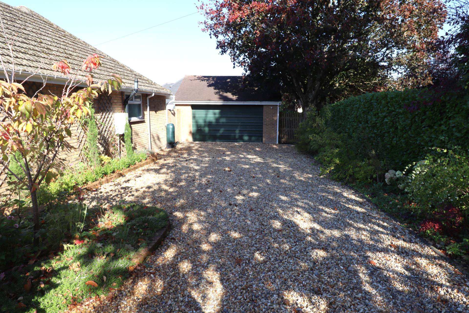 Additional Property Image 4 bedroom Detached Bungalow for sale in Marlborough 14