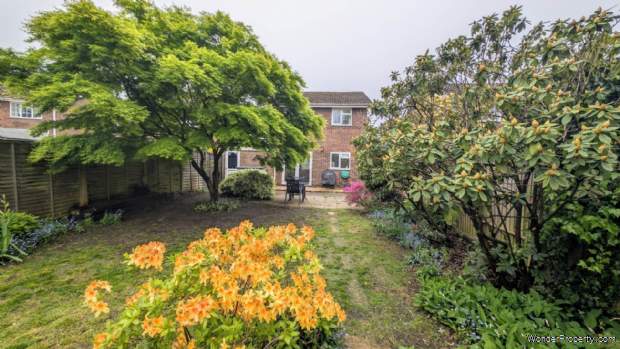 Additional Property Image 3 bedroom Detached for sale in Bordon 9