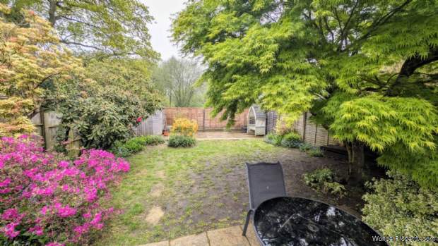 Additional Property Image 3 bedroom Detached for sale in Bordon 10