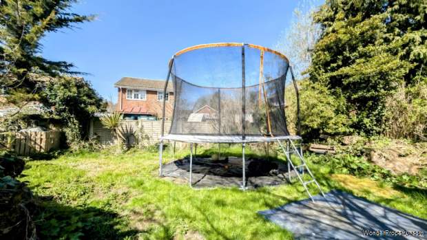 Additional Property Image 3 bedroom Semi Detached Bungalow for sale in Bordon 9