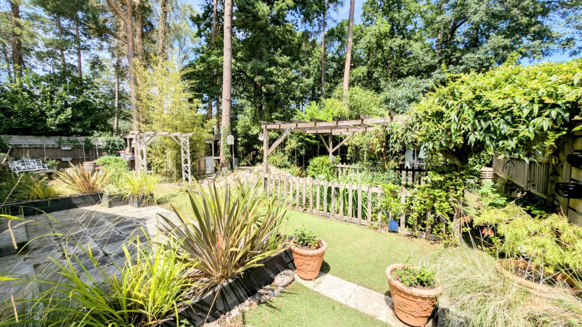 Additional Property Image 3 bedroom Detached Bungalow for sale in Bordon 15