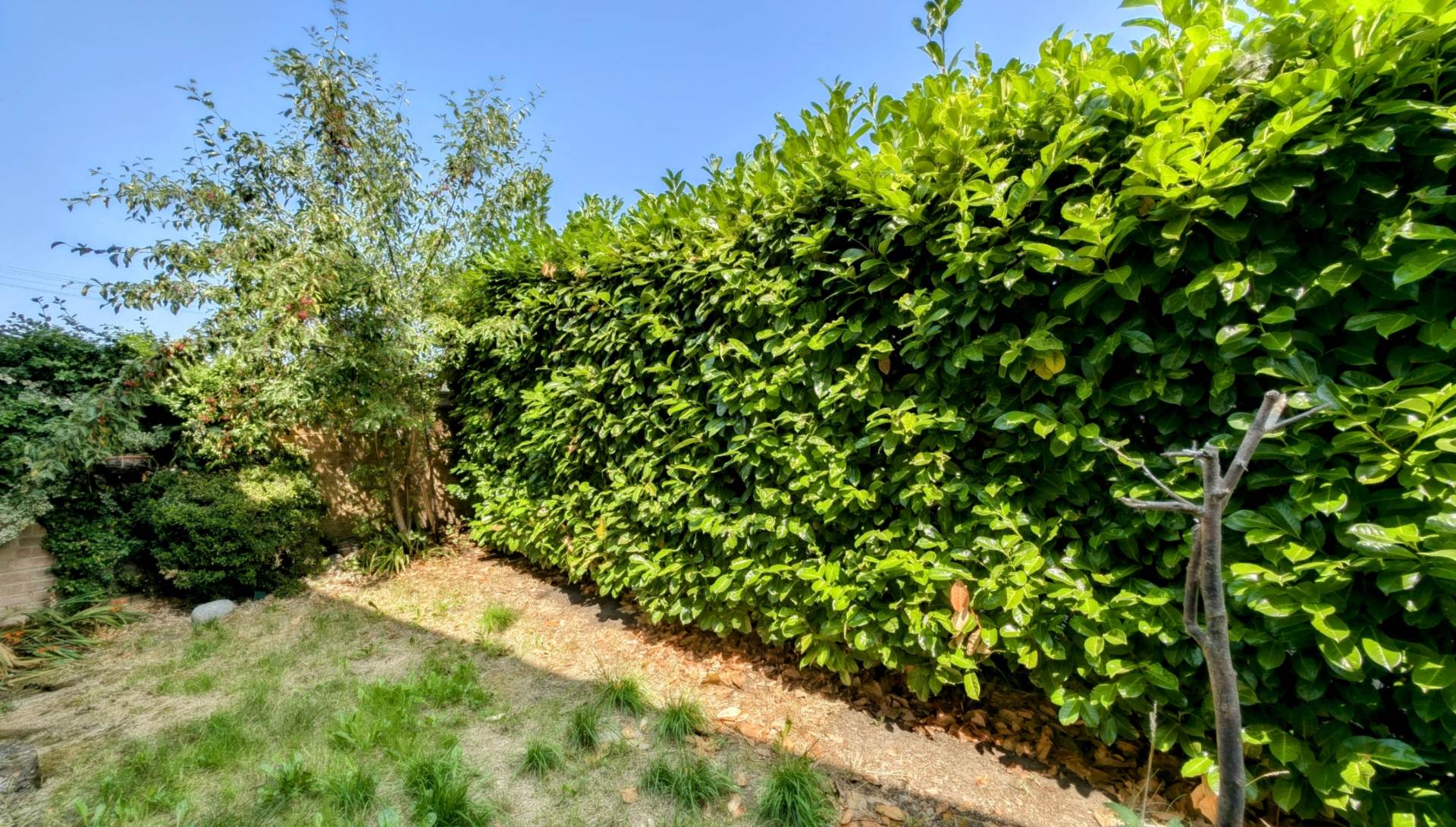 Additional Property Image 1 bedroom Terraced for sale in Bordon 6
