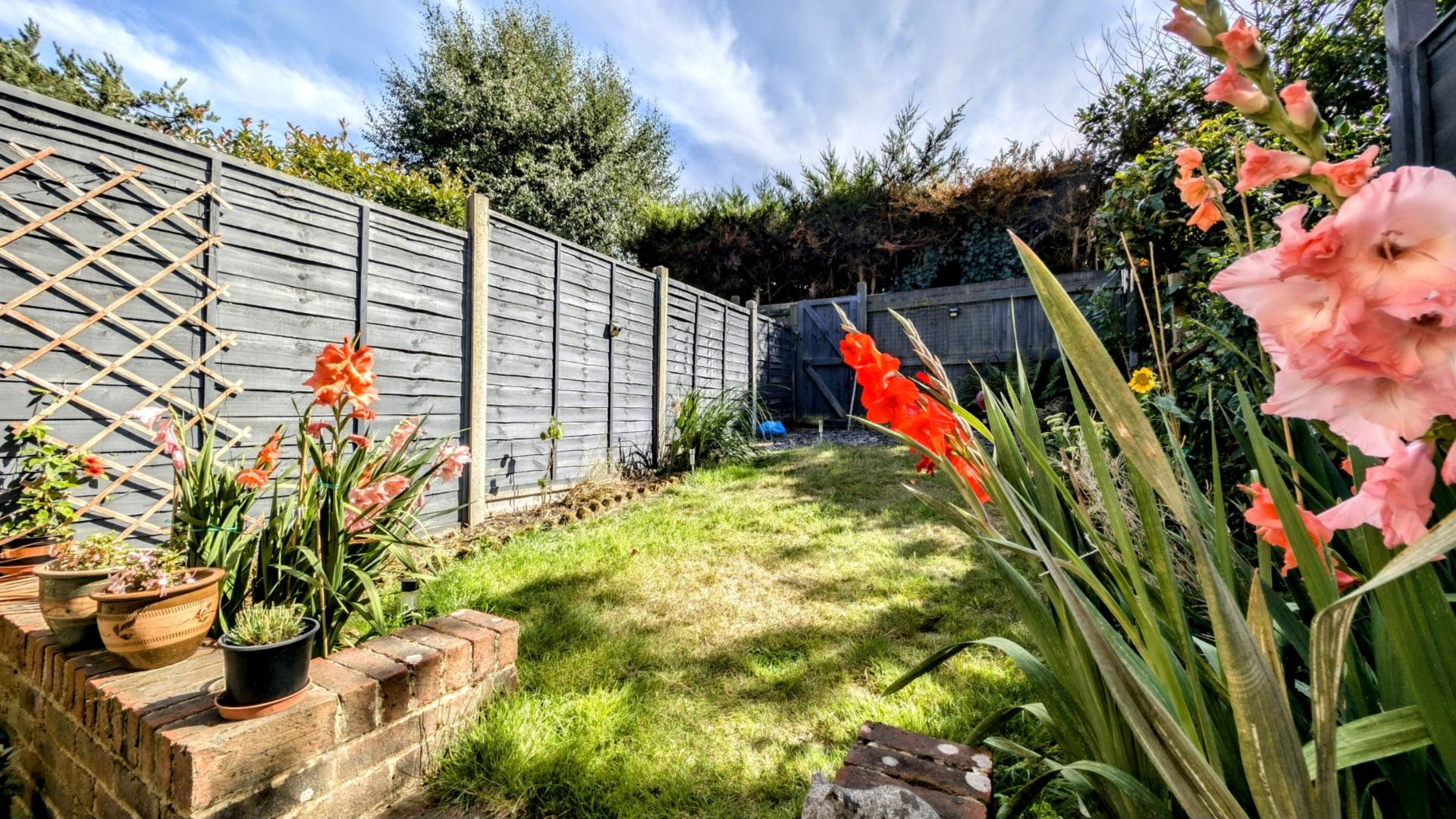 Additional Property Image 2 bedroom Terraced for sale in Bordon 11