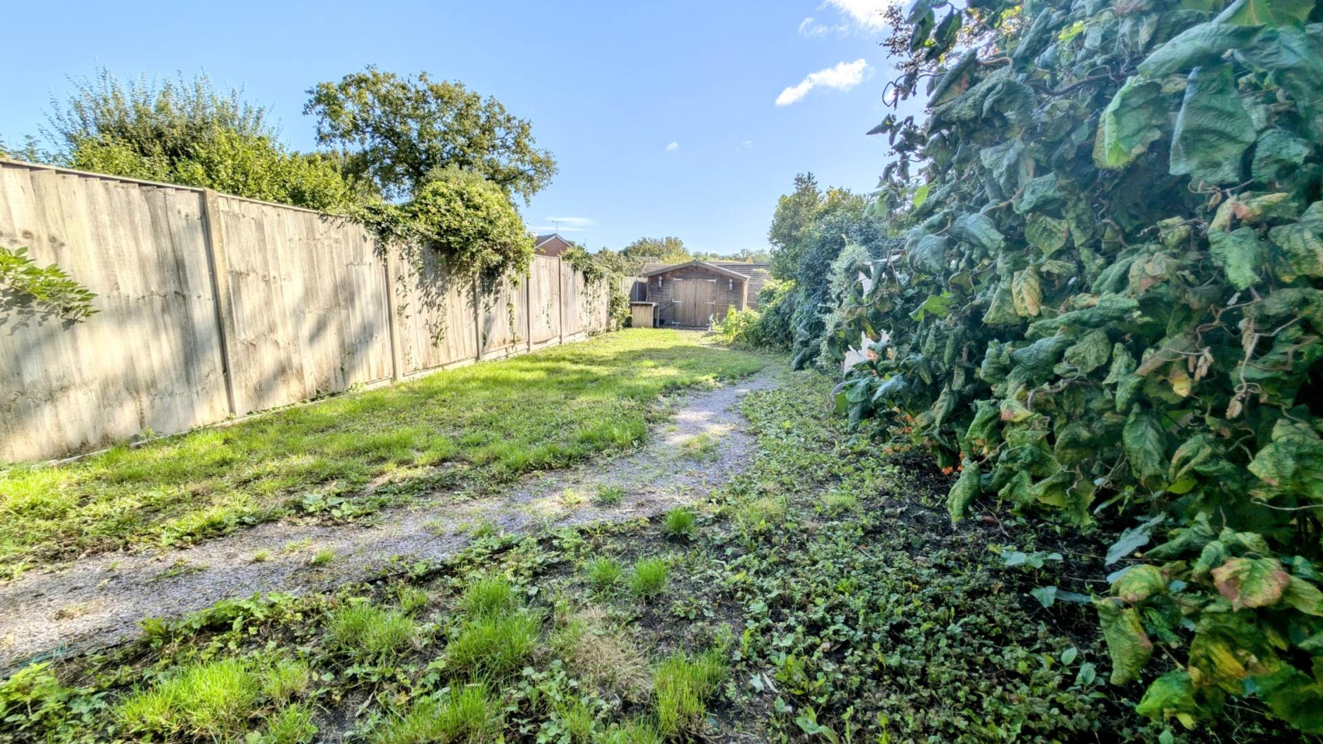 Additional Property Image 3 bedroom Semi Detached for sale in Bordon 11