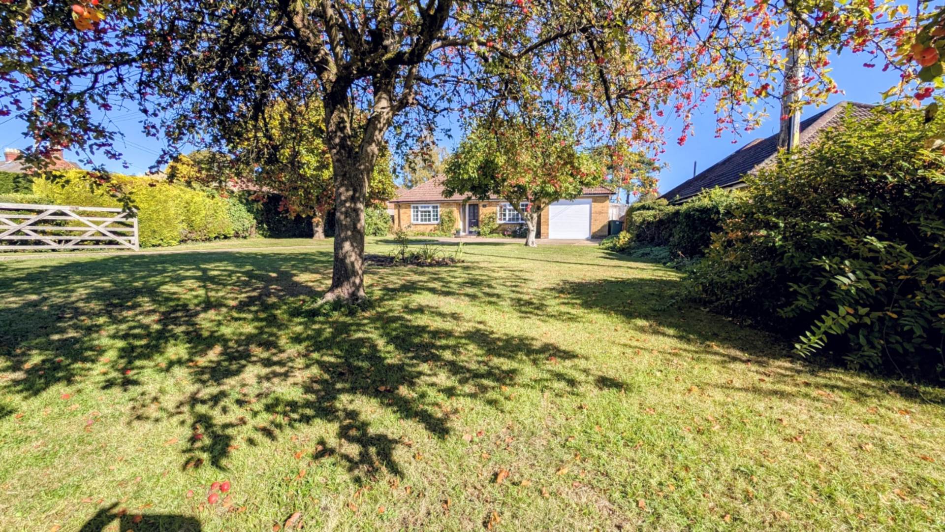 Additional Property Image 3 bedroom Detached Bungalow for sale in Bordon 15