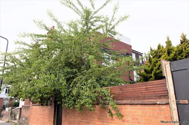 Additional Property Image 2 bedroom Flat for sale in London 10