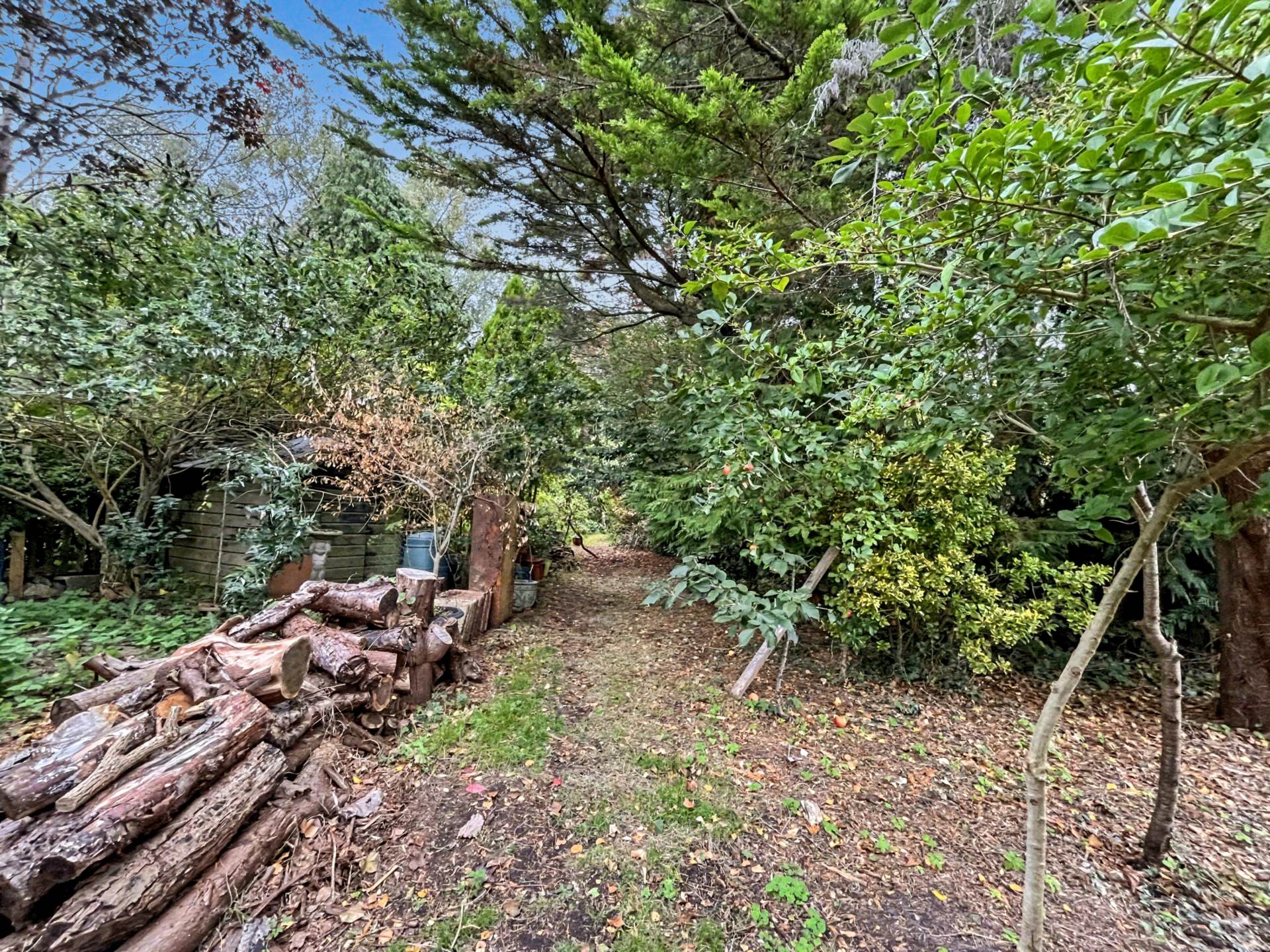 Additional Property Image 3 bedroom Detached Bungalow for sale in Christchurch 26