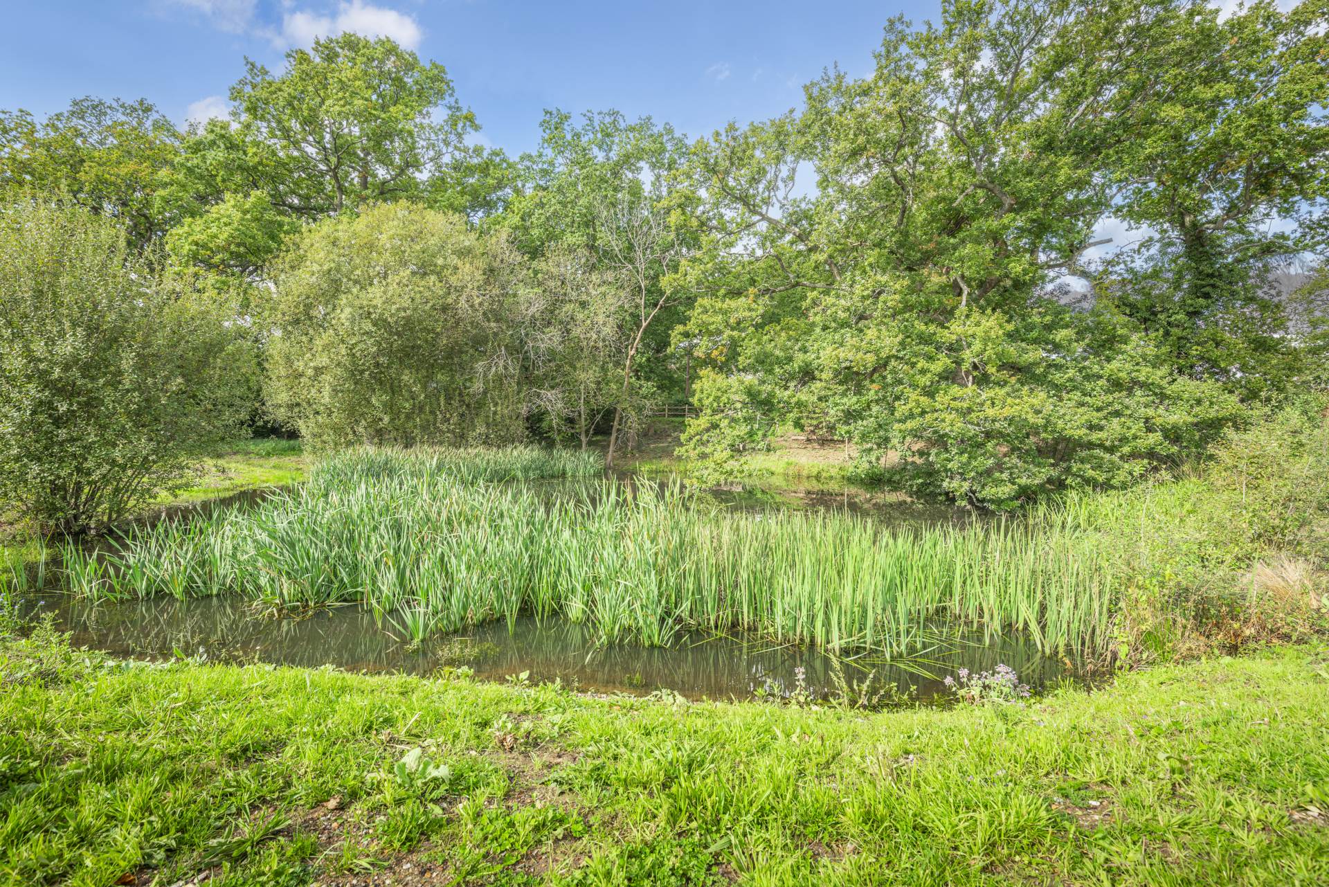 Additional Property Image 5 bedroom House for sale in Royal Tunbridge Wells 20
