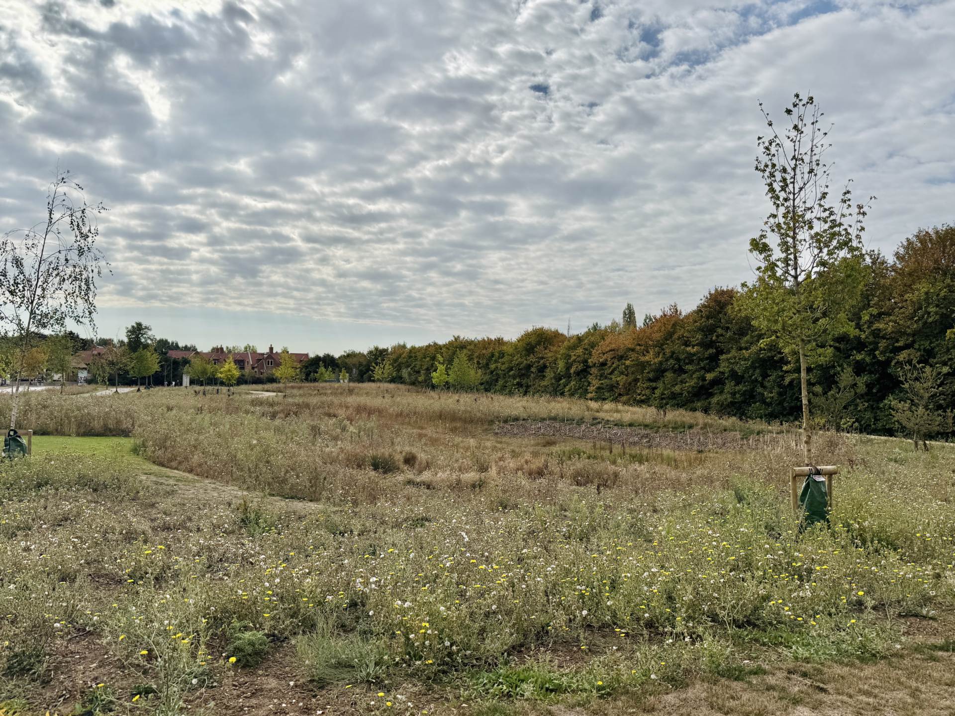 Additional Property Image 3 bedroom Detached for sale in Wallingford 15