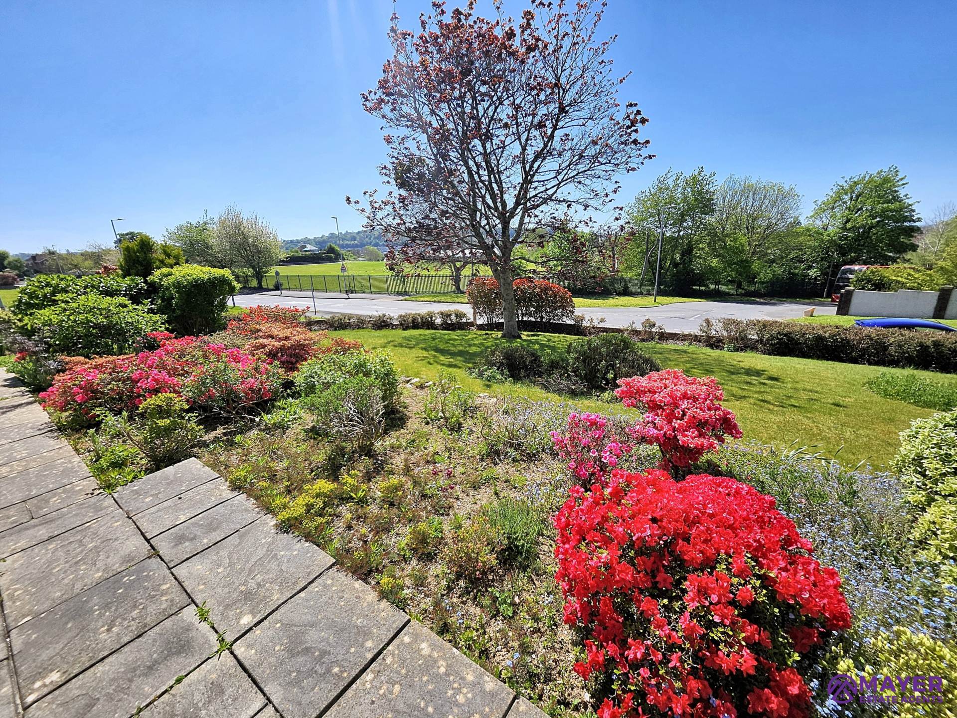 Additional Property Image 4 bedroom Detached for sale in Plymouth 19