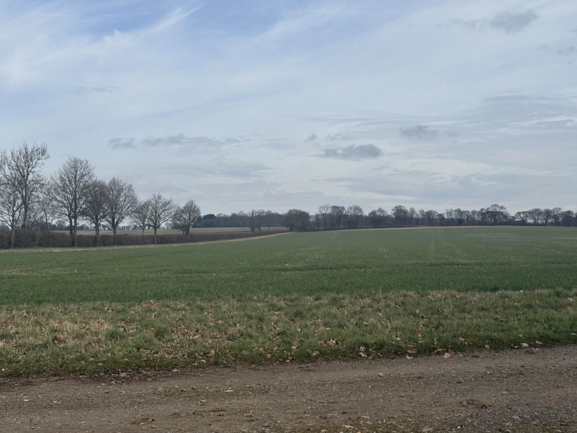 Additional Property Image 4 bedroom Semi Detached to rent in Hungerford 11