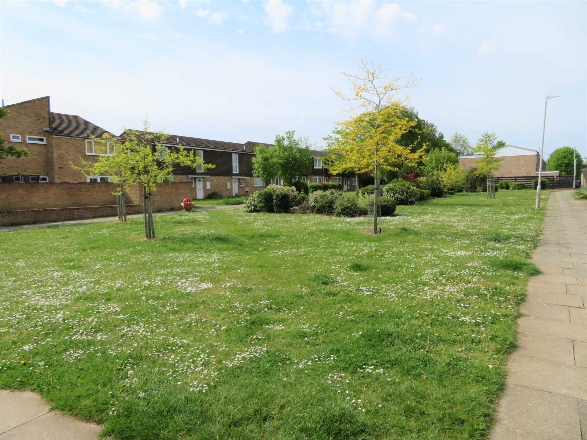 Additional Property Image 3 bedroom Semi Detached to rent in Canterbury 12