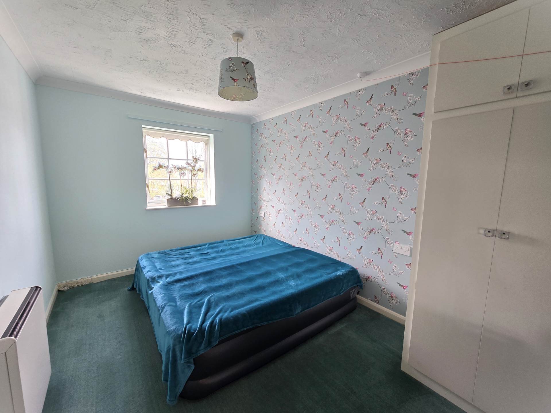 Additional Property Image 1 bedroom Apartment for sale in Canterbury 6
